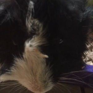 Meet your Posher, Liz